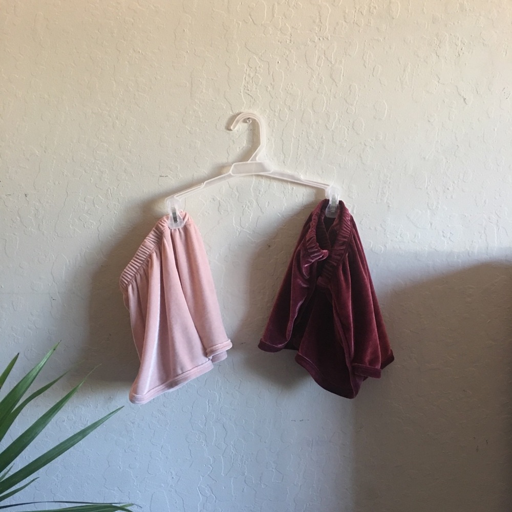 traded:) brandy melville velvet shorts